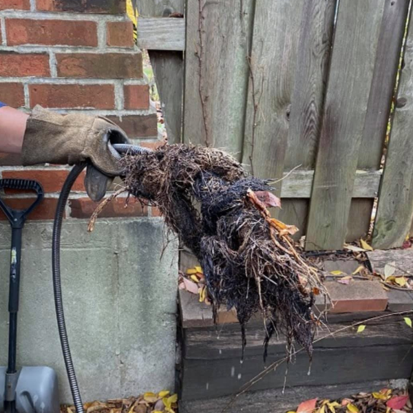 Clogged root removal | Rapid Rooter Illinois